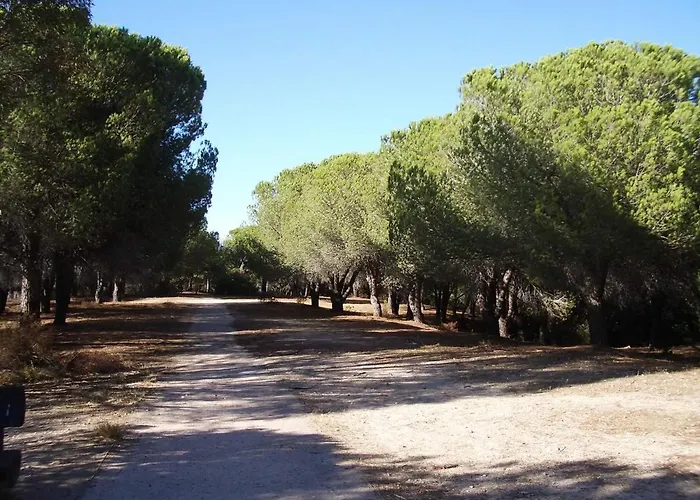 Luxueux 150m2 - Apartament *